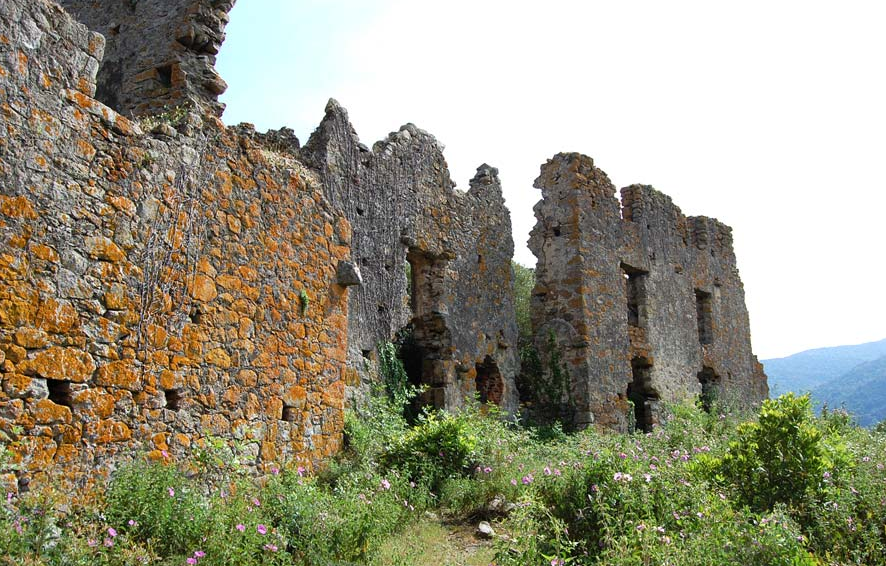 Coasina (Château Ruiné), France